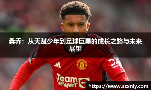 桑乔：从天赋少年到足球巨星的成长之路与未来展望